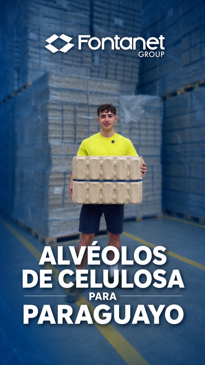 Alvéolos de Celulosa para Paraguayo