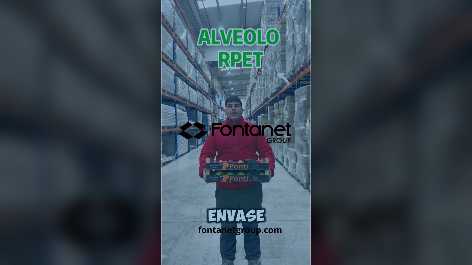 Alveolo de R-PET para fruta en el almacén de Fontanet Group en Fraga