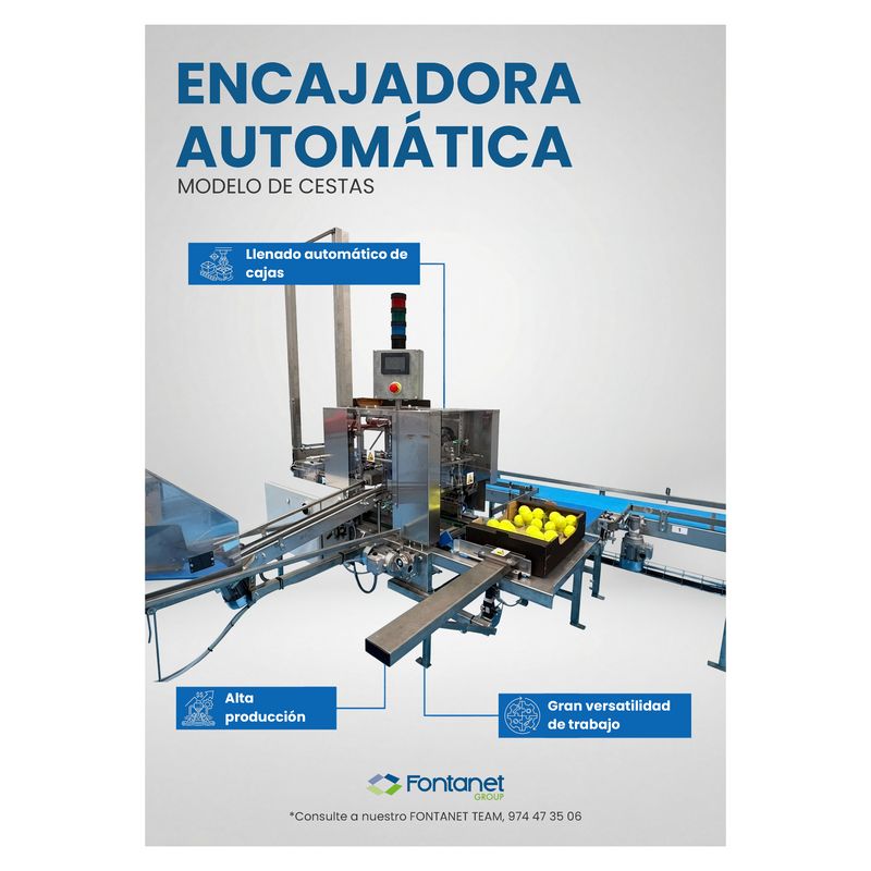 Encajadora automática de acero inoxidable con transportadores y una caja de cartón llena de fruta
