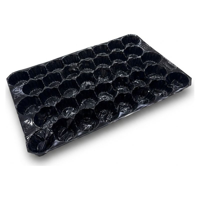 Alveolo de plástico negro con cavidades redondas para fruta, vacío